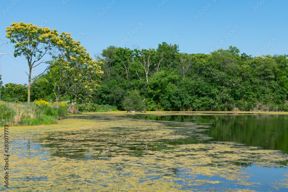 Shore of a Water Filled Quarry in Lemont Illinois Shore of a Water Filled Quarry in Lemont Illinois