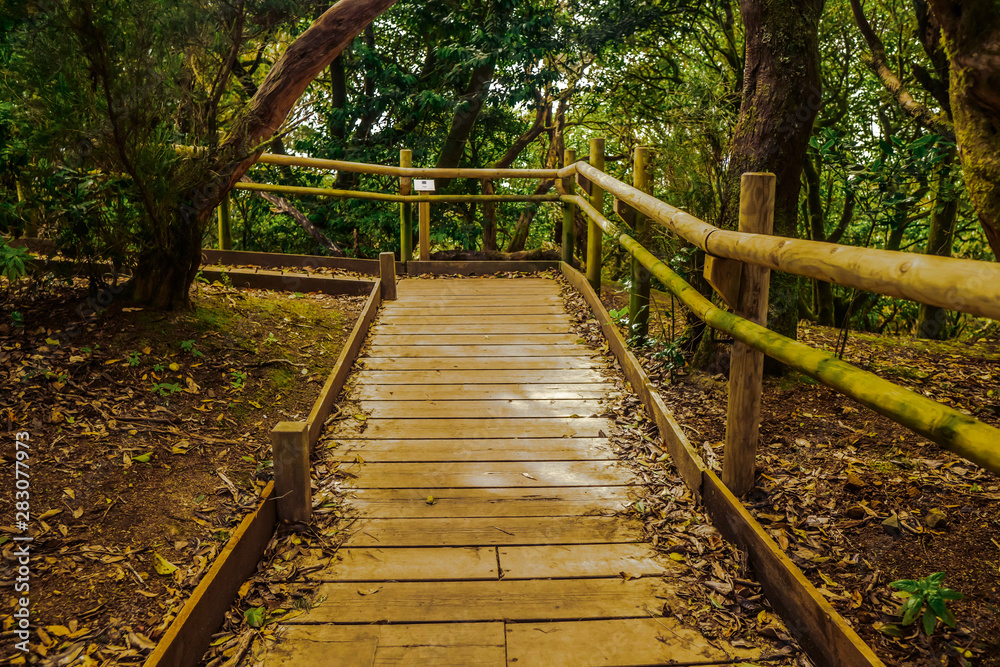 Rampa en una ruta de montaña adaptada para personas con discapacidad en entorno frondoso, con hojas caidas en el suelo Rampa en una ruta de montaña adaptada para personas con discapacidad en entorno frondoso, con hojas caidas en el suelo