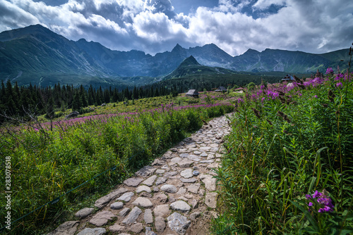 Fototapeta Naklejka Na Ścianę i Meble -  Hala Gąsienicowa - Tatry, Polska