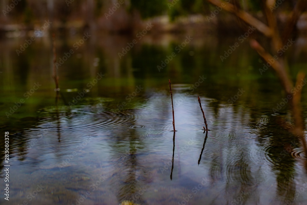 reflections and ripples on water reflections and ripples on water
