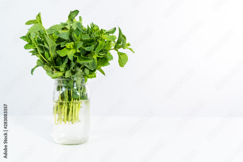 Garden mint Garden mint