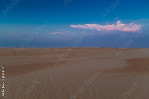 UAE. Desert  landscape