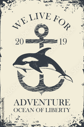 Vector banner with hand-drawn killer whale on the background of old anchor in retro style. Illustration on the theme of travel, adventure