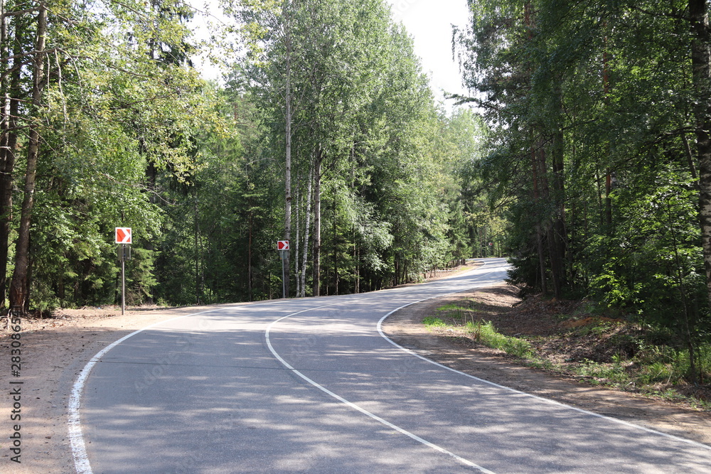 Fototapeta premium sunny day winding empty road in the green forest