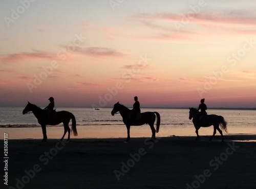 horse riding on the beach