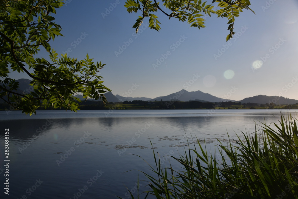 Seeblick Seeblick