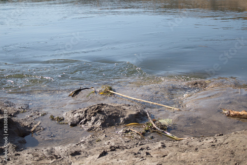 River bank, mud, silt and clear water
