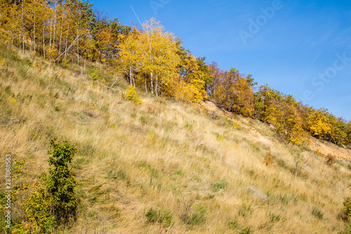 Autumn. Slope, precipice on the edge of the trees grow. Colorful leaves, yellow and red leaves.