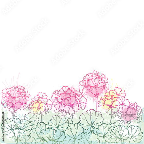 Bouquet with outline Geranium or Cranesbills flower bunch and ornate leaf in pastel pink and green isolated on white background.