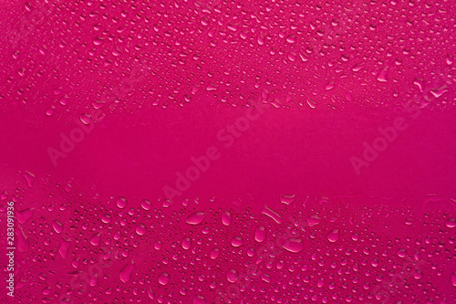 Water Drops On pink Background, Texture colorful waterdrop/