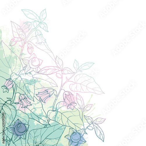 Bilde på lerret Corner bunch of outline toxic Atropa belladonna or deadly nightshade flower, bud, berry and leaf in pastel green on the white background
