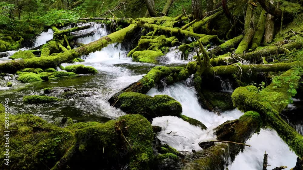 Amazing waterfall and moss covered rocks in Oregon. Amazing waterfall and moss covered rocks in Oregon.