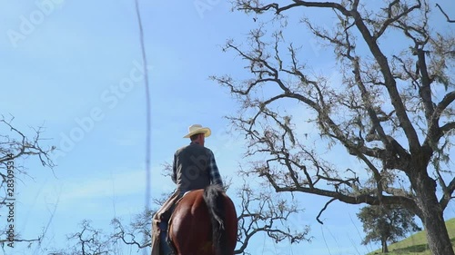 Low angle shot of horse and her rider heading out to find the cattle herd photo