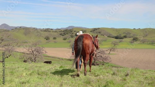 Leading his horse by the reigns, the cowboy walks right in front of the camera photo