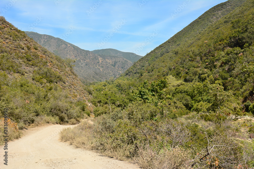 Trail through Holy Jim Canyon, Cleveland National Forest, California. The 8 mile trail leads to Bear Springs, and Santiago Peak. Trail through Holy Jim Canyon, Cleveland National Forest, California. The 8 mile trail leads to Bear Springs, and Santiago Peak.
