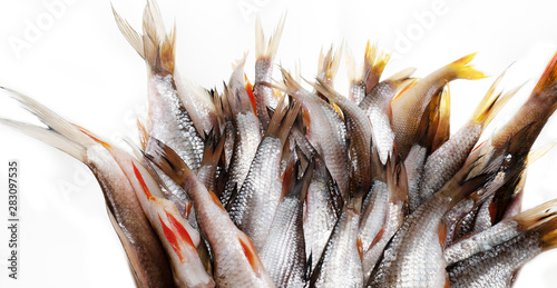 Salted fish Isolated photo