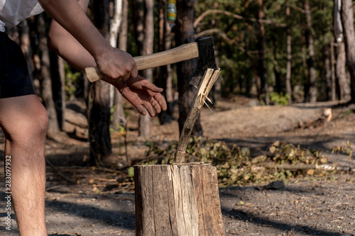A man is chopping firewood in a forest on a summer sunny day. Travel and camping