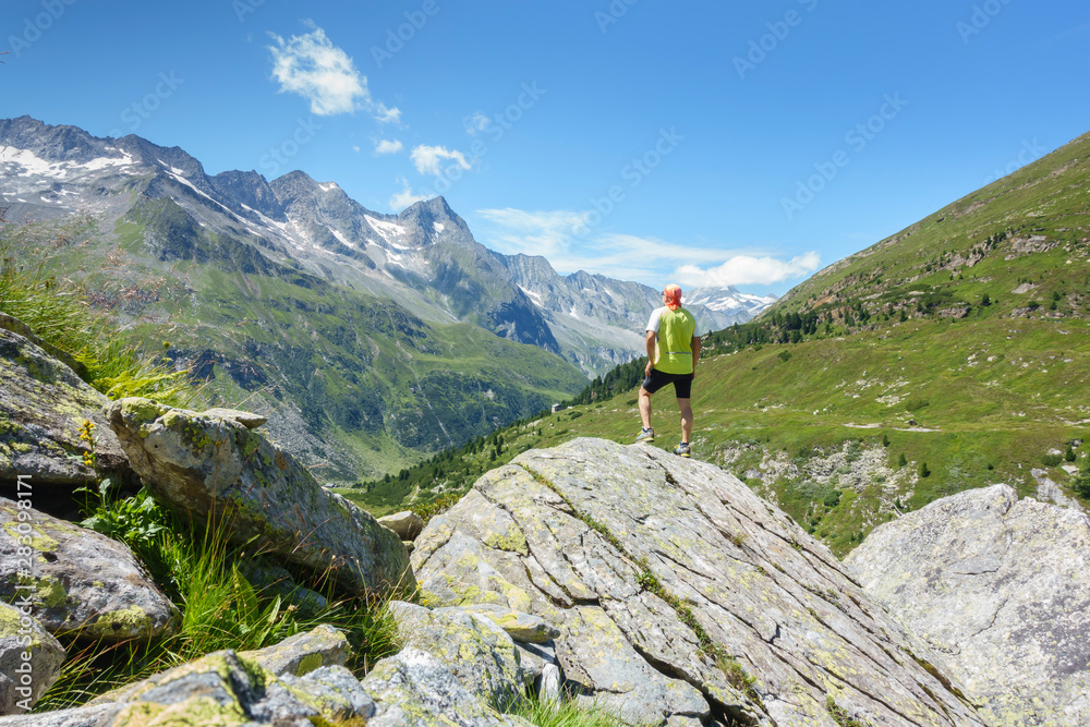 Wanderer blickt in die Alpen