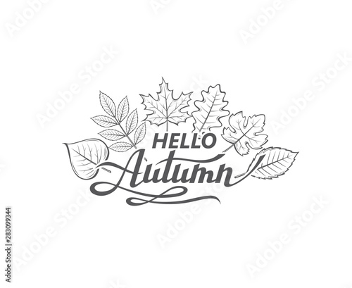 hello autumn lettering label with woody leaves isolated on white background