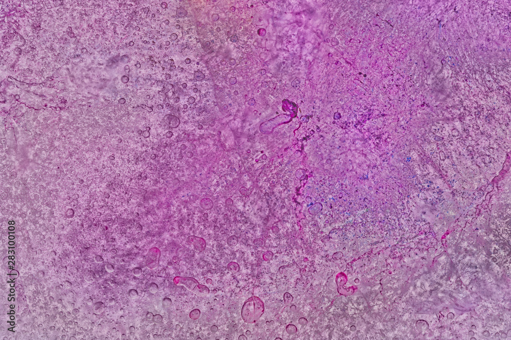 Bubbly pink and violet dotted bubbles ice texture Bubbly pink and violet dotted bubbles ice texture