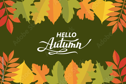 hello autumn lettering pattern with woody leaves