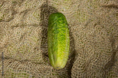 Cucumber