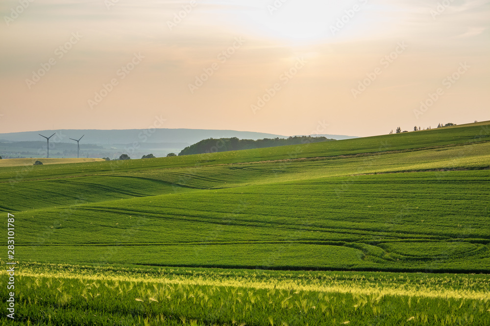 The landscape in Low Saxony, Germany