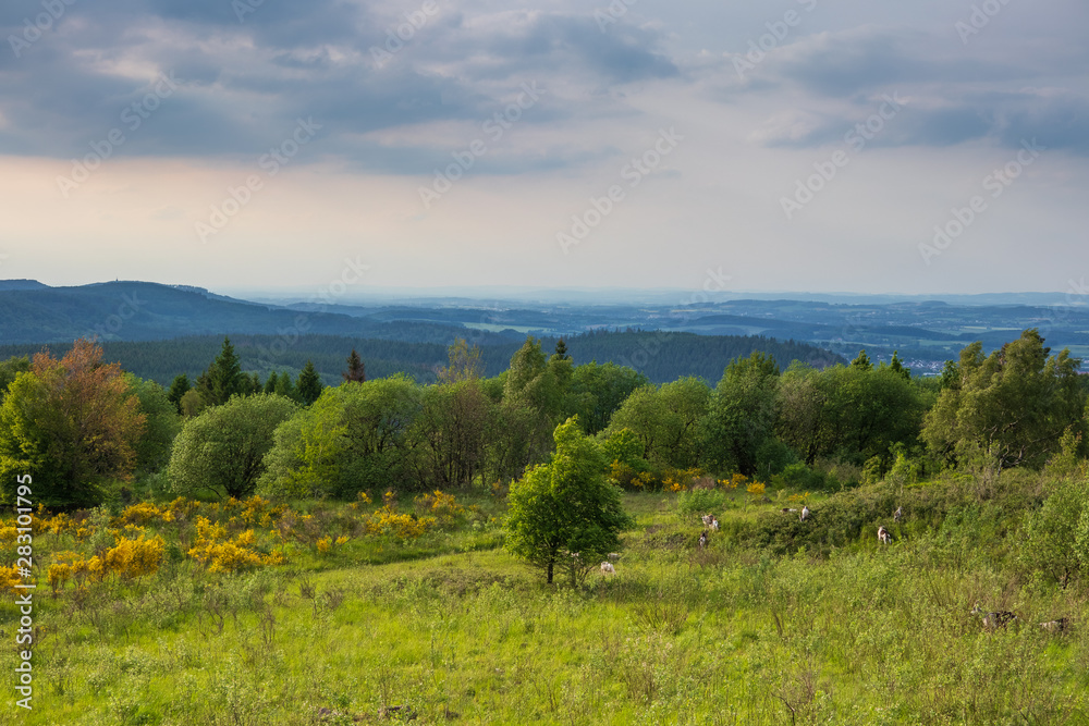 Fototapeta premium The landscape of Teutoburg Forest in Germany