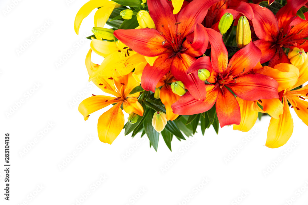 Obraz premium Overhead view of three different colored asian lilies