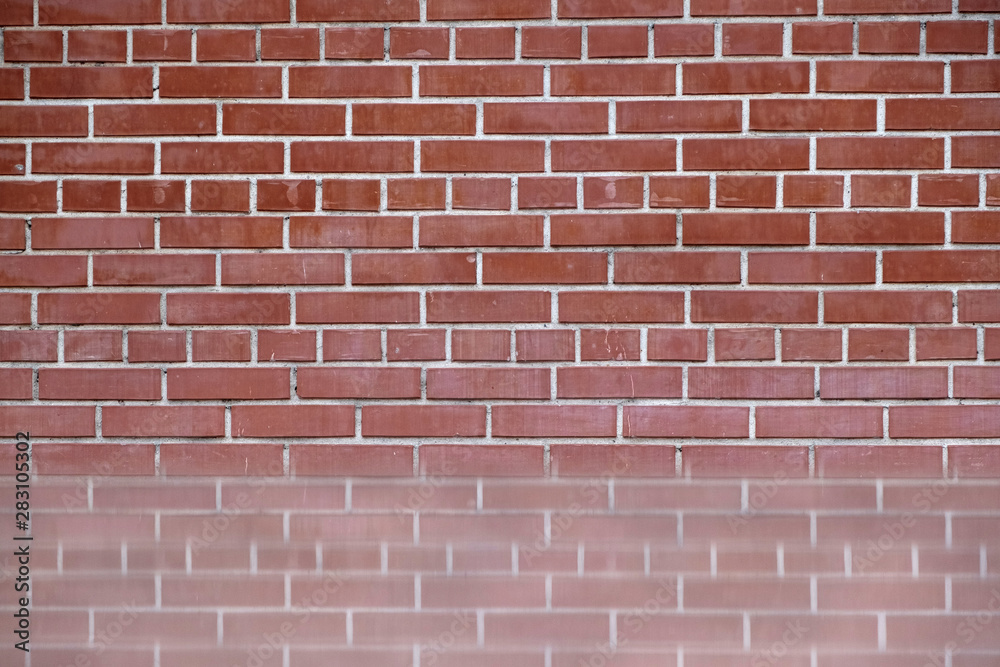 Fototapeta premium red brick wall with reflection below