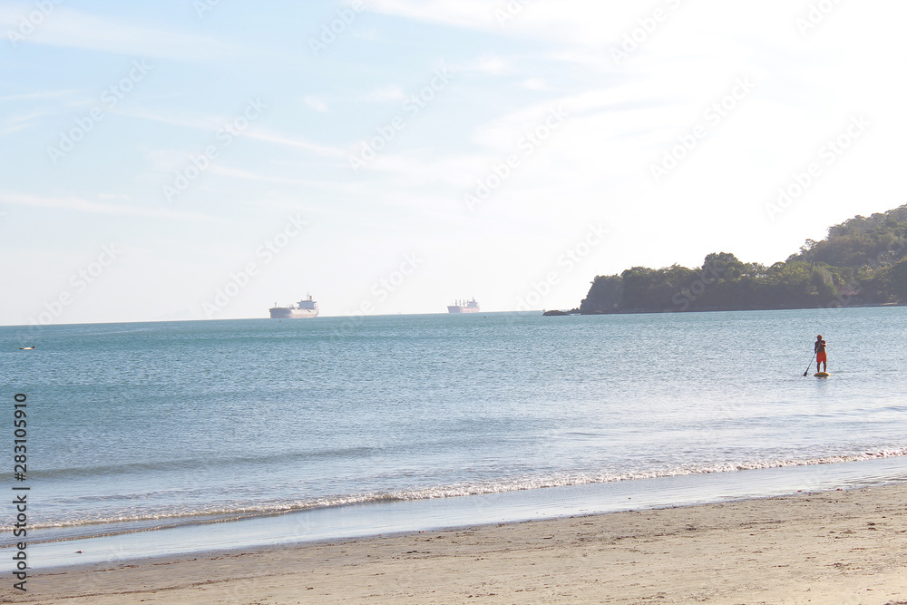 Fototapeta premium Guaecá