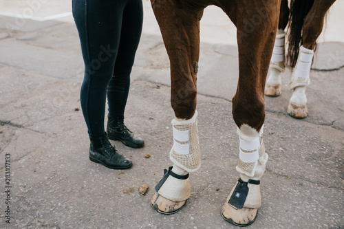 Legs of a horse and jockey before the walk