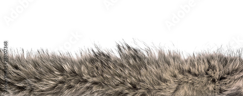 Fluffy fox fur on isolated white background photo
