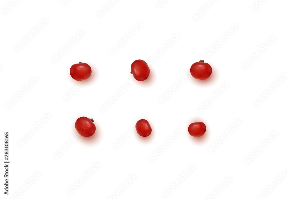 Berries of cranberry isolated on white background