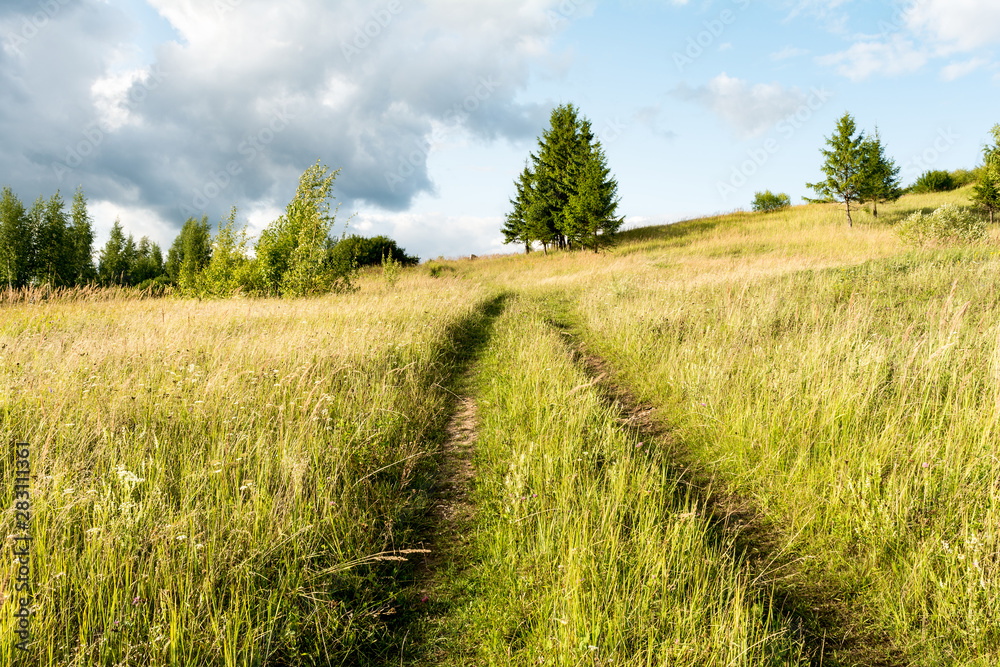 the valley with dry grass bushes and conifers, sunny summer day, blue sky with clouds, track in the grass the valley with dry grass bushes and conifers, sunny summer day, blue sky with clouds, track in the grass