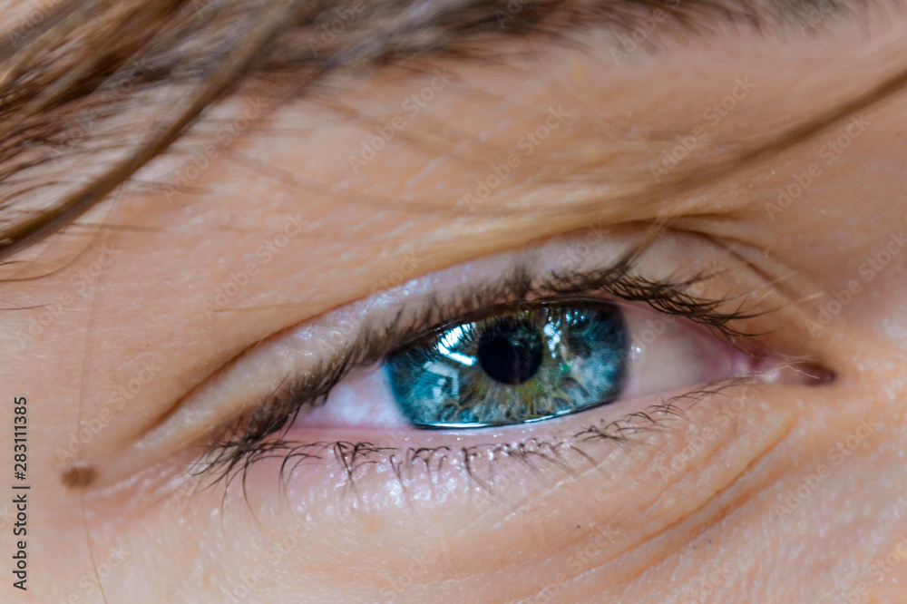 Fototapeta premium close up of blue eye