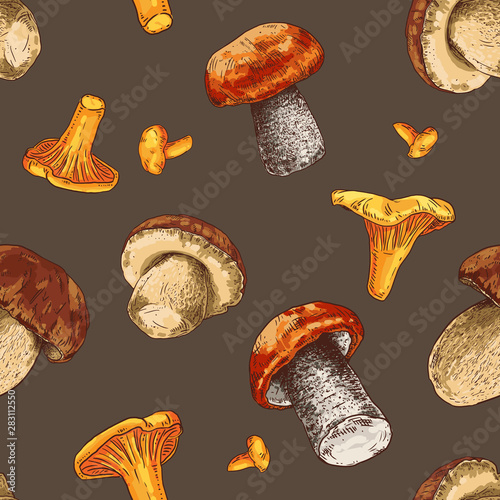 Hand drawn colorful forest mushrooms. Vector seamless pattern background.