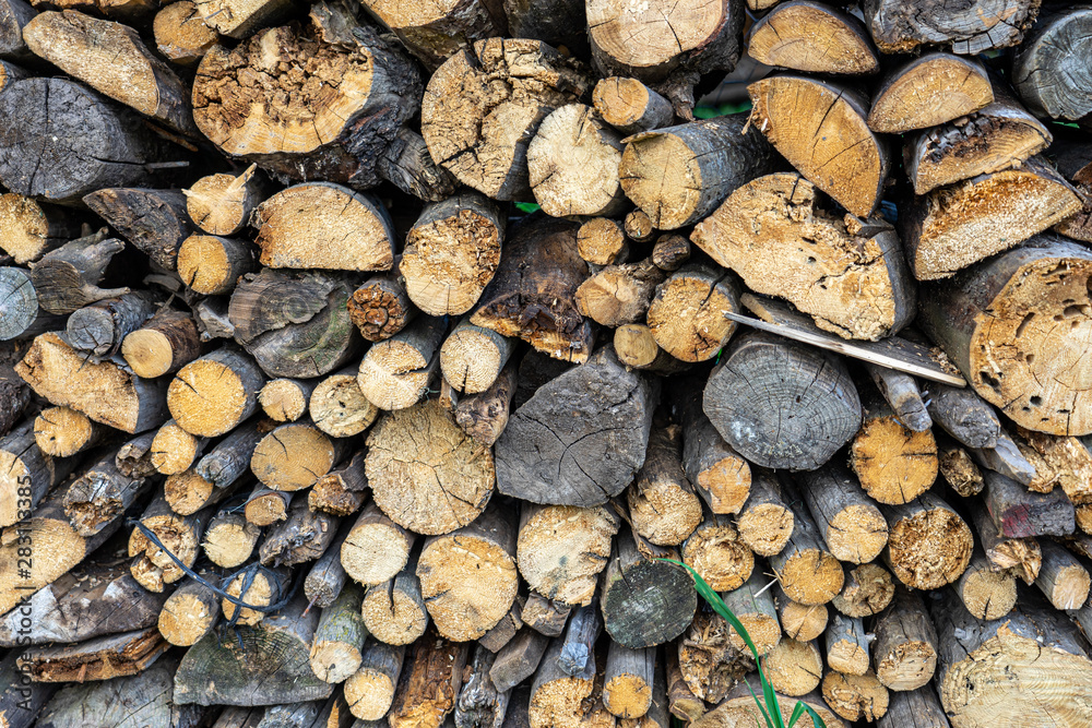 Split Dry Firewood Texture Background Split Dry Firewood Texture Background