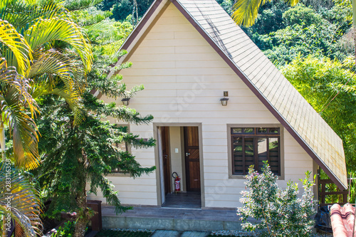 house with flowers