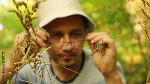 young handsome caucasian scientist entomologist examines a spider Argiope bruennichi sitting on a web in a forest with a magnifier, close-up photo