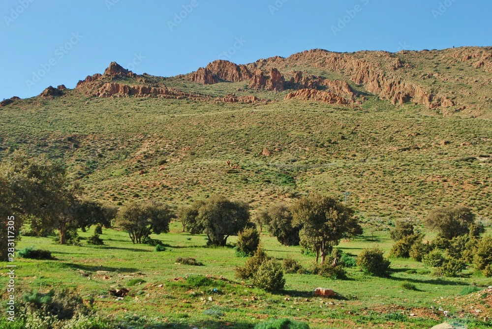 Fototapeta premium Algerie: Massif de Tenouchfi, versant sud