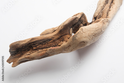 Driftwood in front of a white background © jh Fotografie