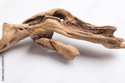 Driftwood in front of a white background