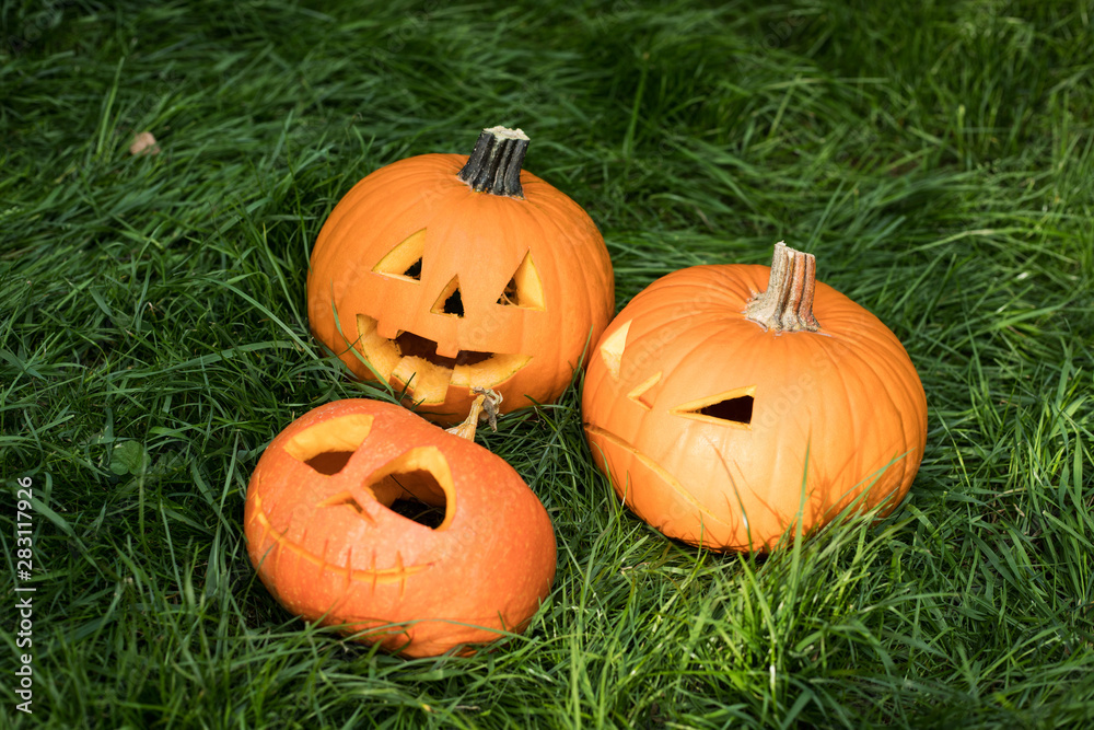 Obraz premium jack-o-lantern, halloween carved pumpkin