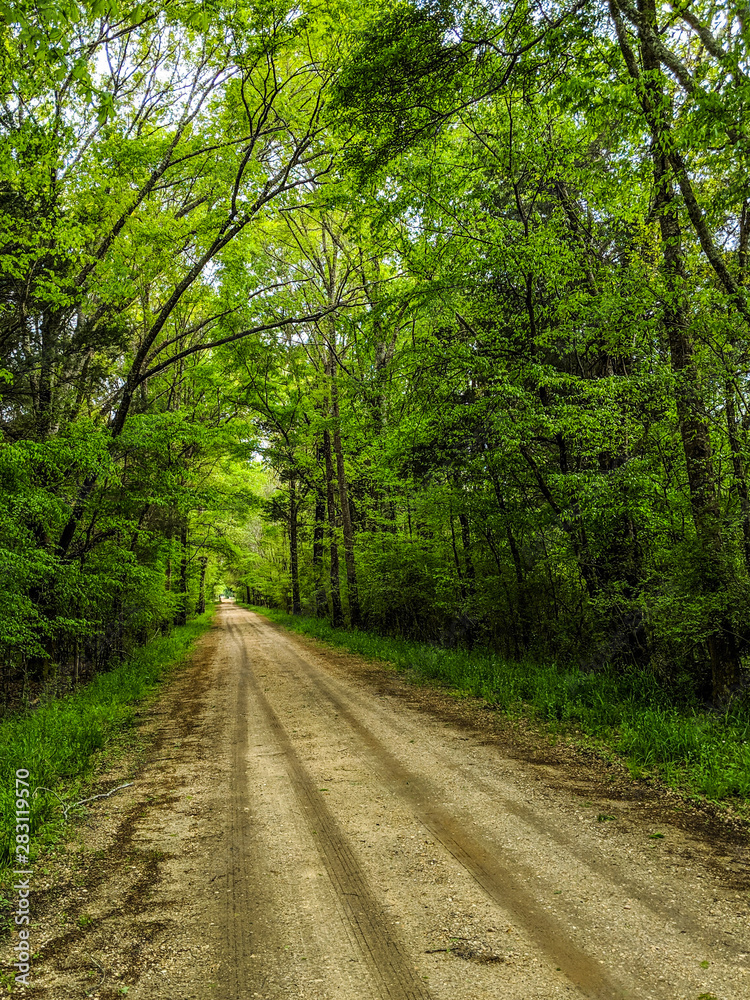 Fototapeta premium Dirt Road