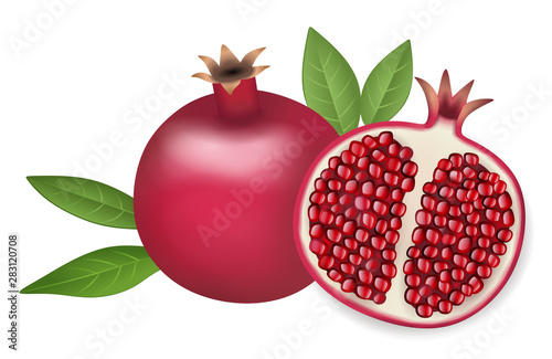 whole and half pomegranate with seeds and leaves  illustration vector