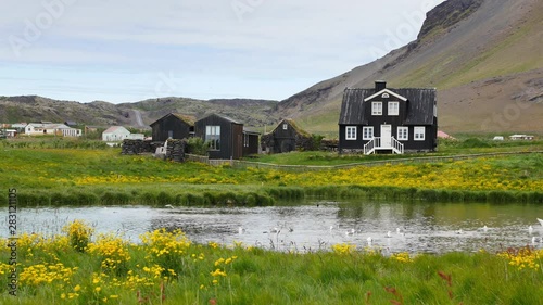 Arnarstapi -  village, clifs, landscapes of Iceland.