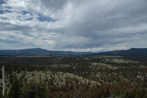 Montana Landscape 6