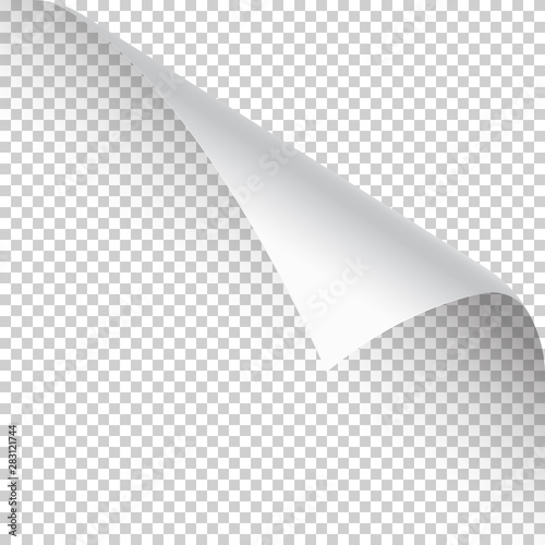 Curled page corner with shadow on transparent background. Blank sheet of paper. Vector illustration.