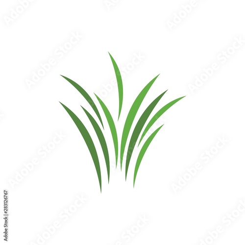 Grass ilustration logo vector